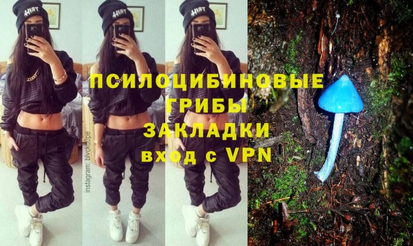 молекула духа Алексин