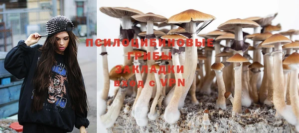 молекула духа Алексин