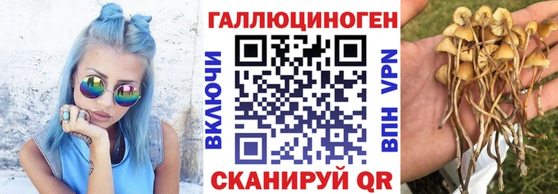 Галлюциногенные грибы Magic Shrooms ОМГ ОМГ tor Тара