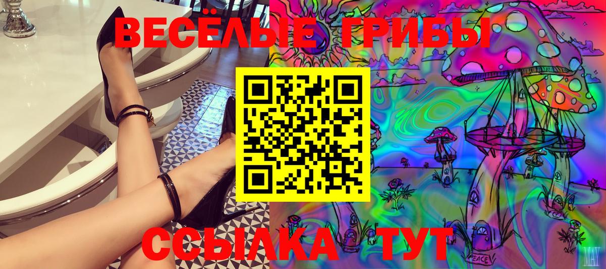 Тара  Галлюциногенные грибы GOLDEN TEACHER  Вход с VPN 