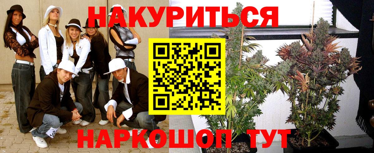 Бошки марихуана OG Kush  Вход с VPN  Тара  Конопля гибрид  Бошки Шишки конопля  Конопля план 
